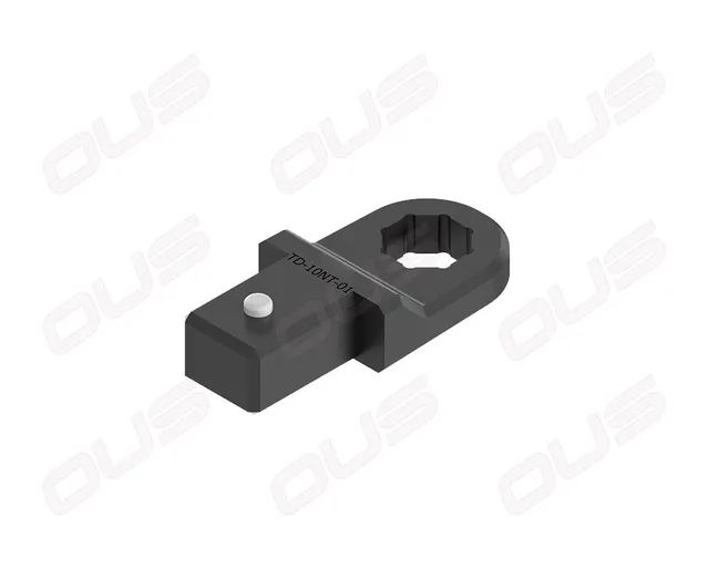 OUS CR Injector Tools TD-10NT-01 chiave S15 8 lati