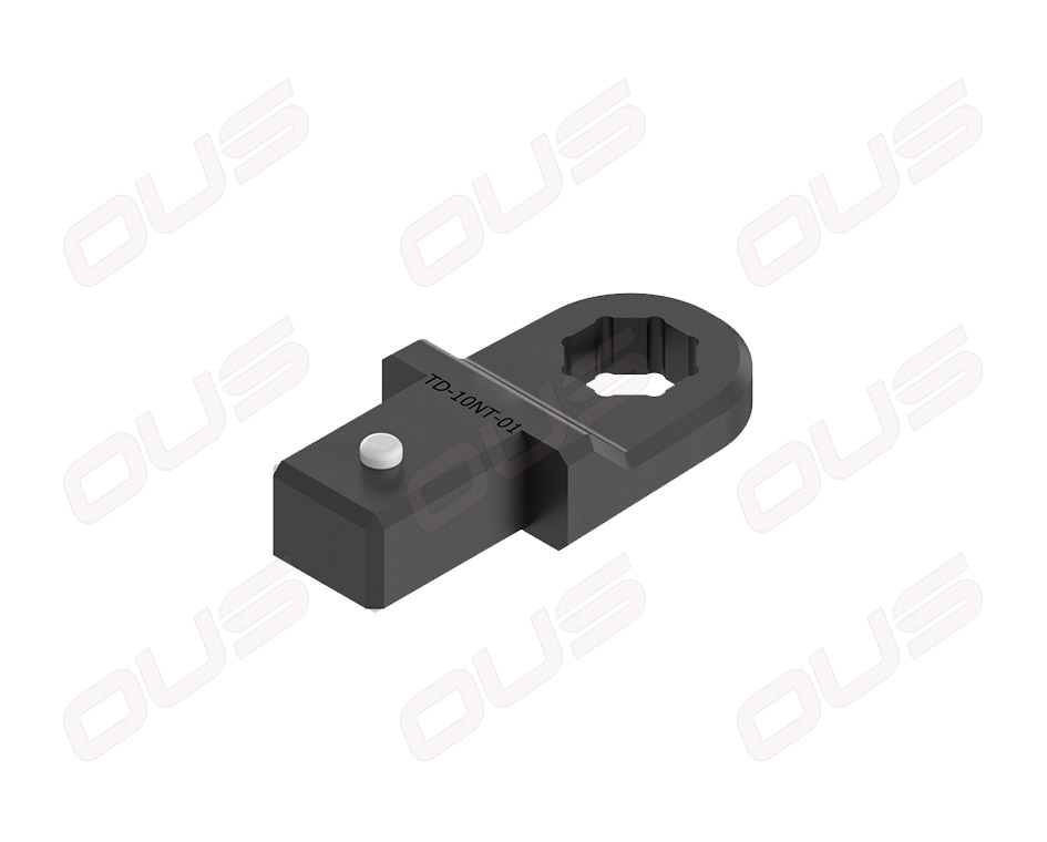 OUS CR Injector Tools TD-10NT-01 chiave S15 8 lati